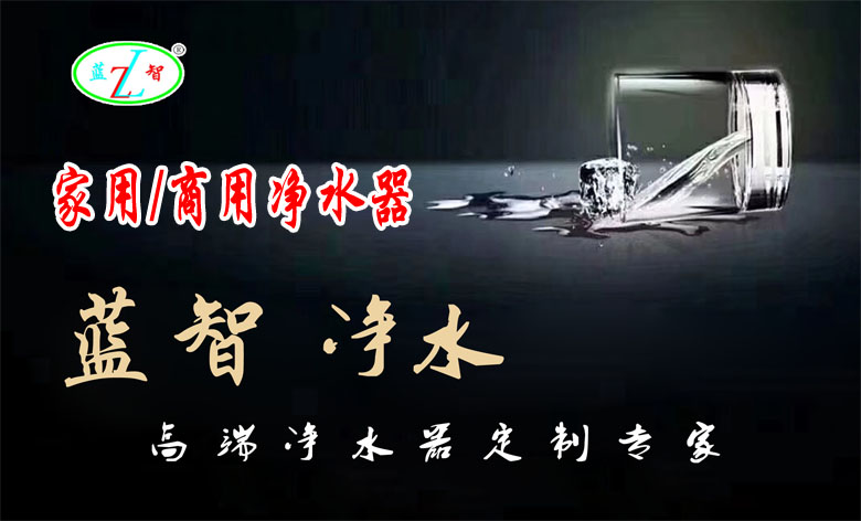 藍(lán)智家用/商用凈水器