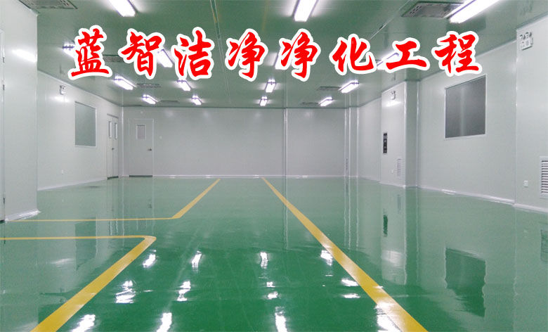 藍(lán)智潔凈空氣凈化公司